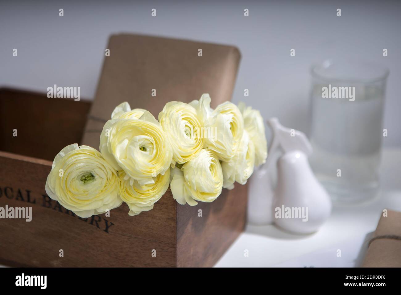 Pear tree in container hi-res stock photography and images - Alamy