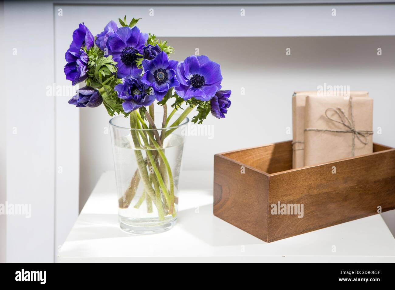 bouquet of the blue anemones in a glass vase on a white table near the pale gray wall. The wooden box with two wrapped gift. Vertical frame. Copy spac Stock Photo
