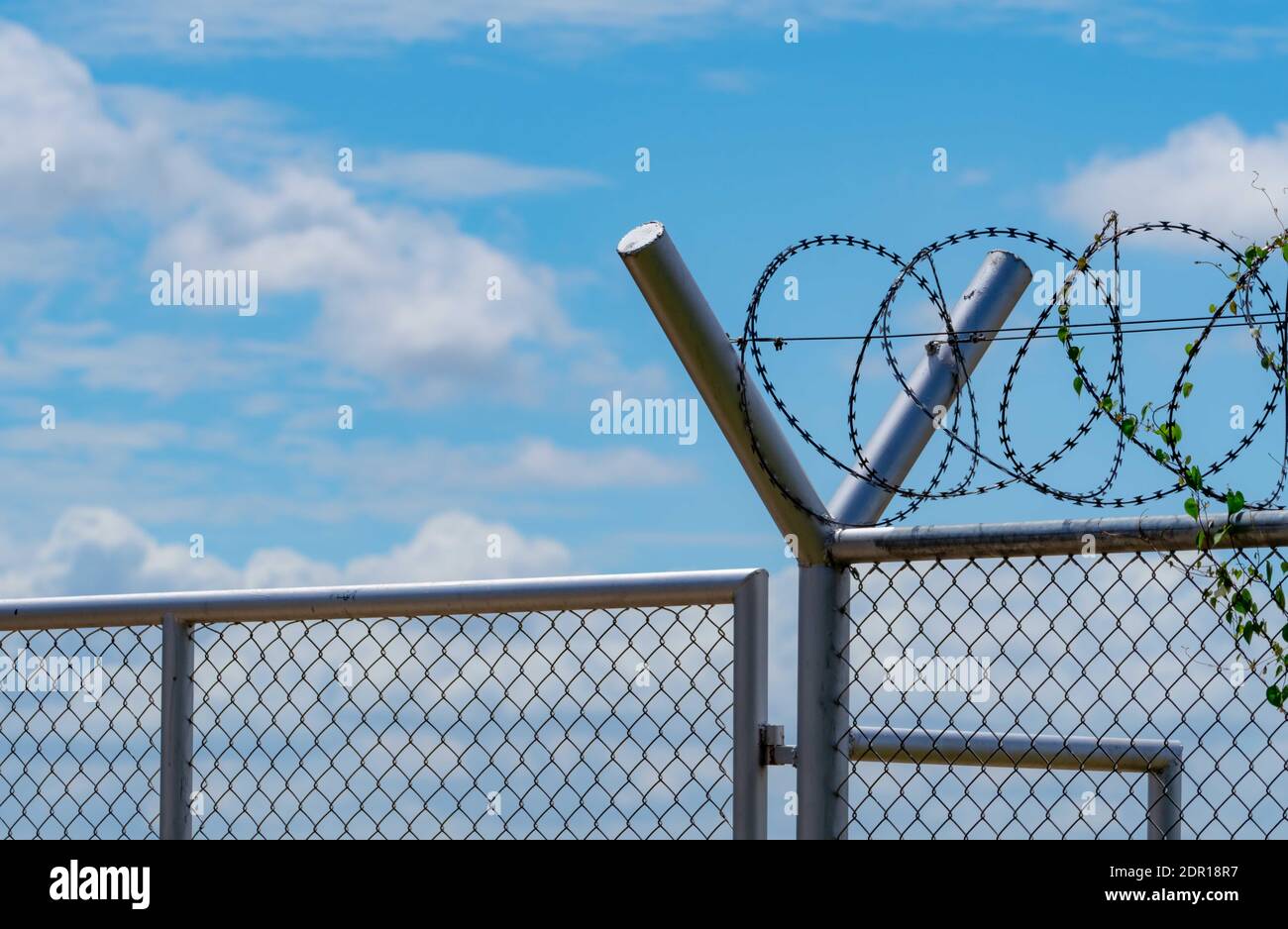 Prison Security Fence. Barbed Wire Security Fence. Razor Wire Jail Fence. Barrier Border. Boundary Stock Photo