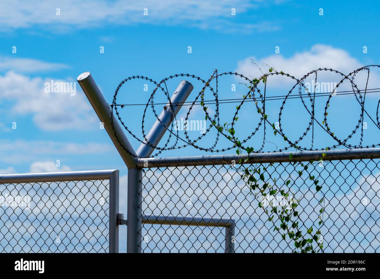 Prison Security Fence. Barbed Wire Security Fence. Razor Wire Jail Fence. Barrier Border. Boundary. Stock Photo