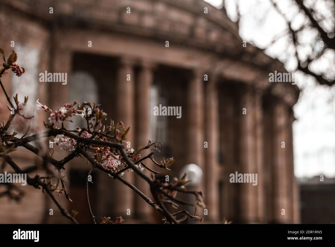 March 07, 2020 Stuttgart, Germany - Front view of famous historic Stuttgart Opera house designed by architect Max Littmann with small lake Eckensee Stock Photo