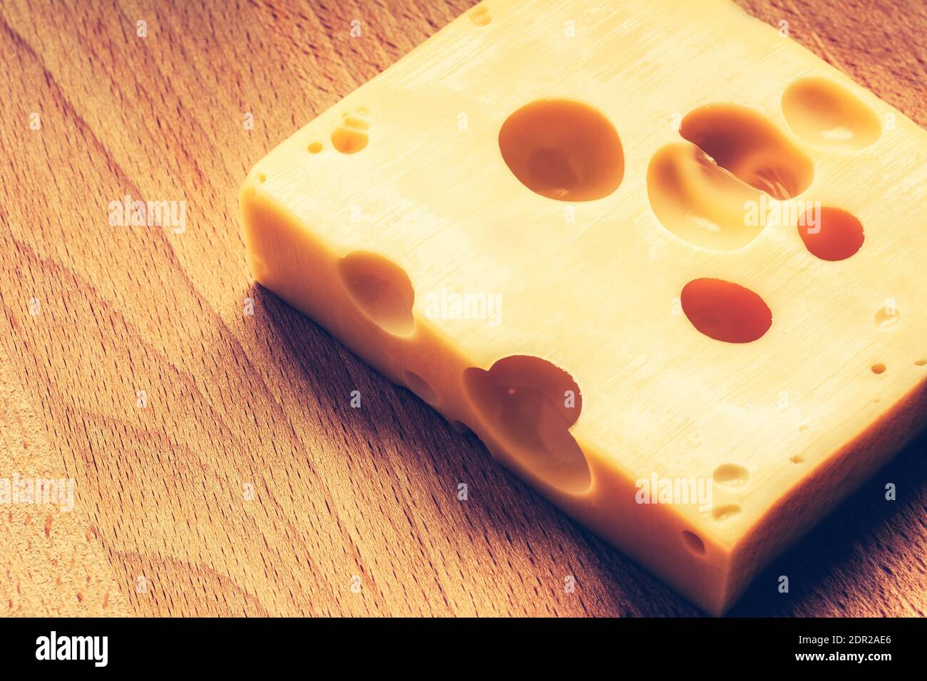 Swiss yellow cheese square chunks with holes on wood board. Fresh piece