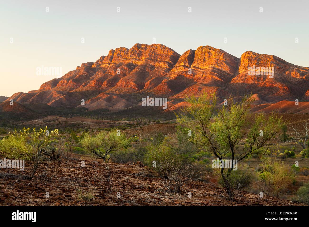 First light on Elder Range, part of the Famous Flinders Ranges. Stock Photo