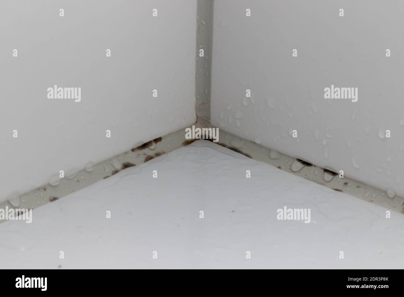 Black Mould Forming Under Silicone Joint In The Corner Of A Bathroom Or Bathtub Stock Photo Alamy
