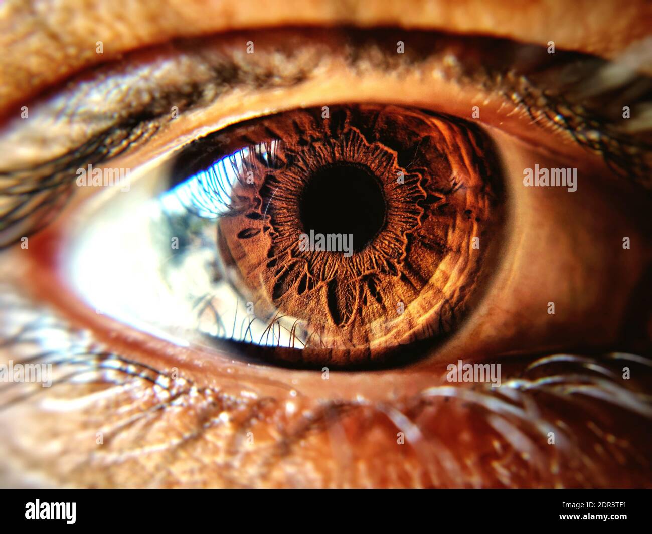 human eye close up