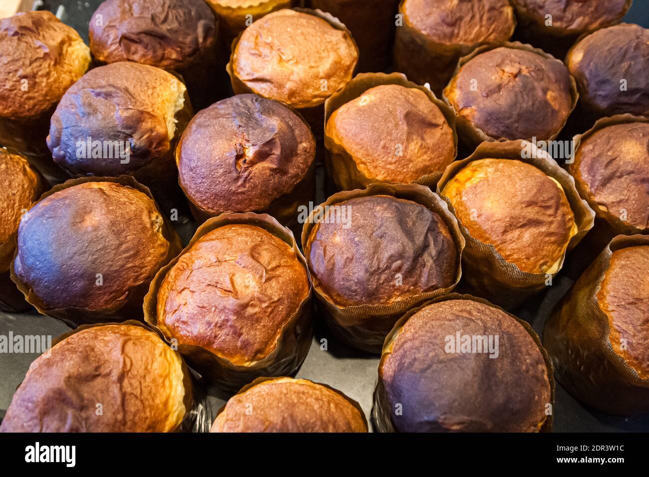 Panettone at Bread Baking Workshop with Lutz Geisler and Manfred Schellin in Berlin, Germany Stock Photo