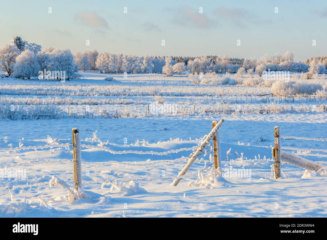 Wintry landscape with frost on barbed wire fence Stock Photo - Alamy