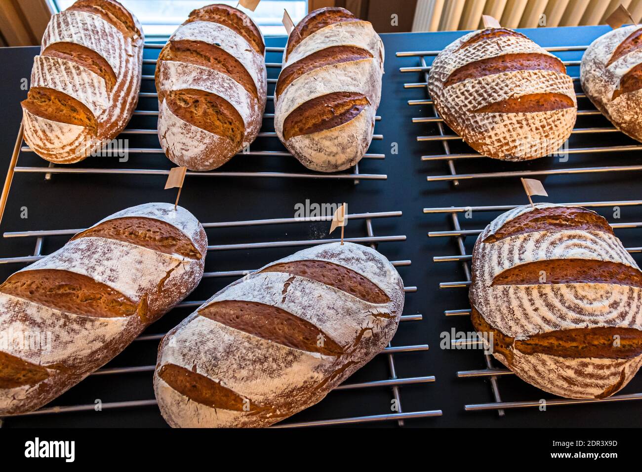 Bread Baking with Lutz Geisler and Manfred Schellin in Berlin