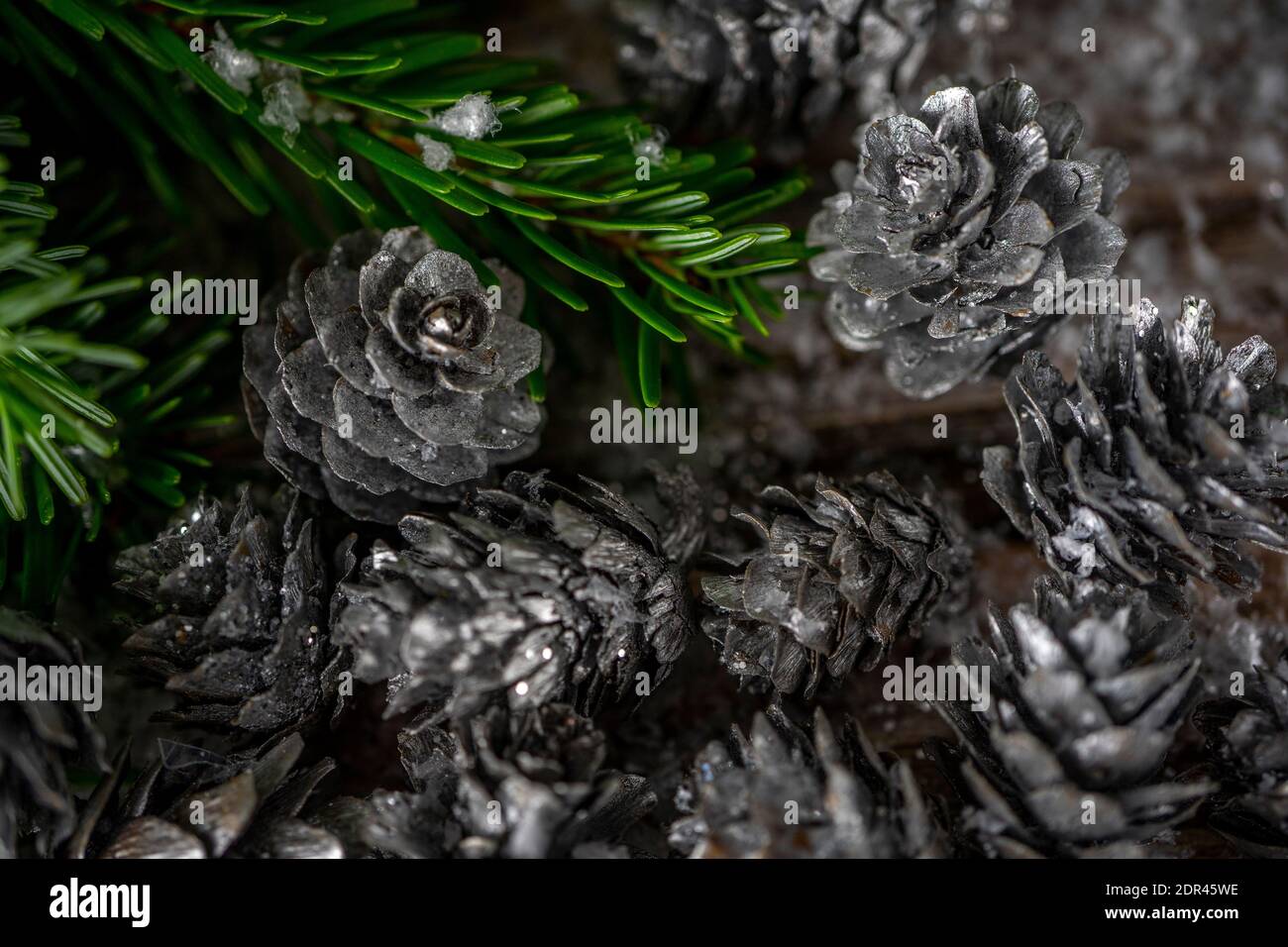 Fir tree branches and silver painted pine cones on a wooden snow ...