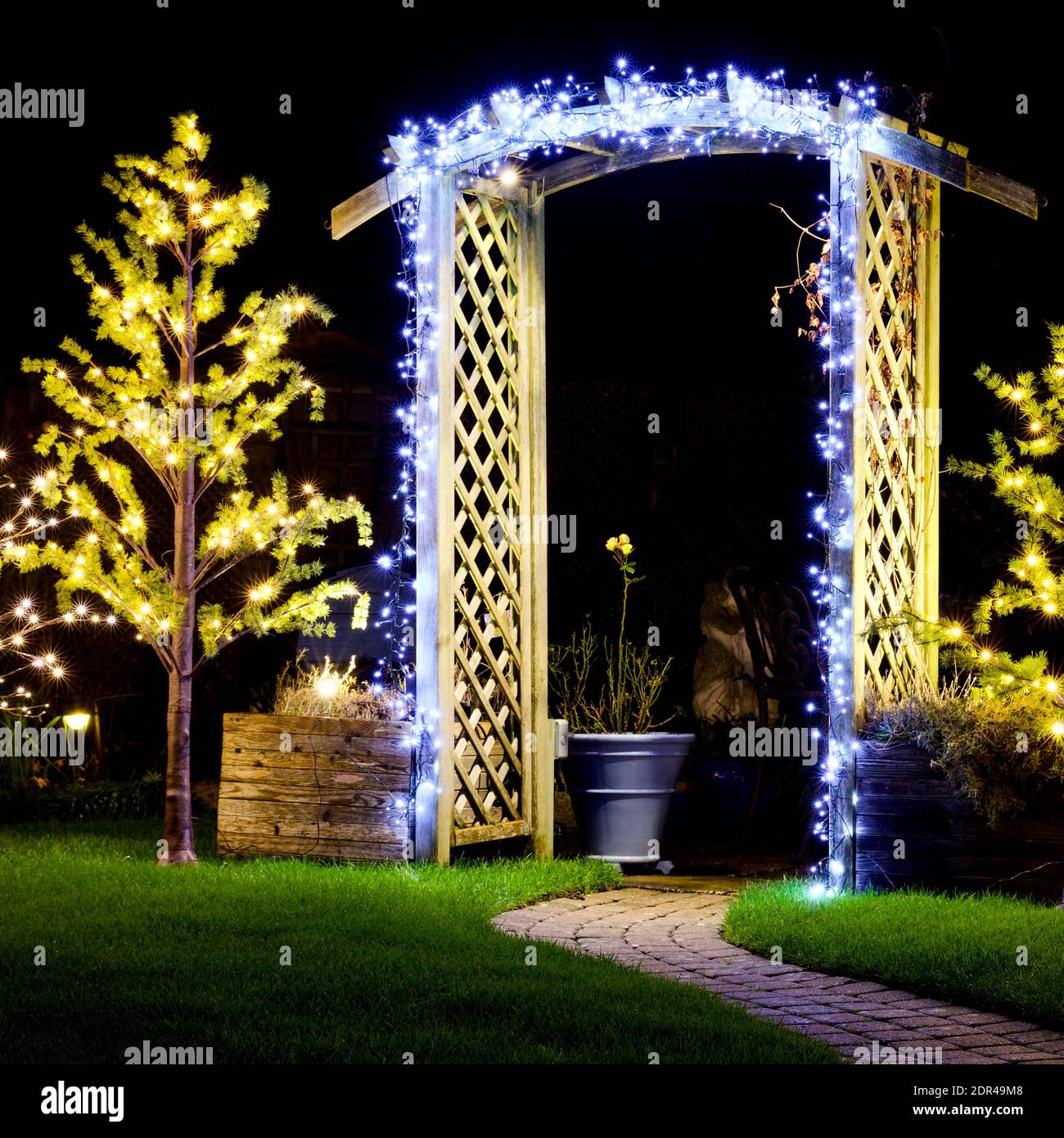 Christmas lights illuminating garden archway Stock Photo Alamy