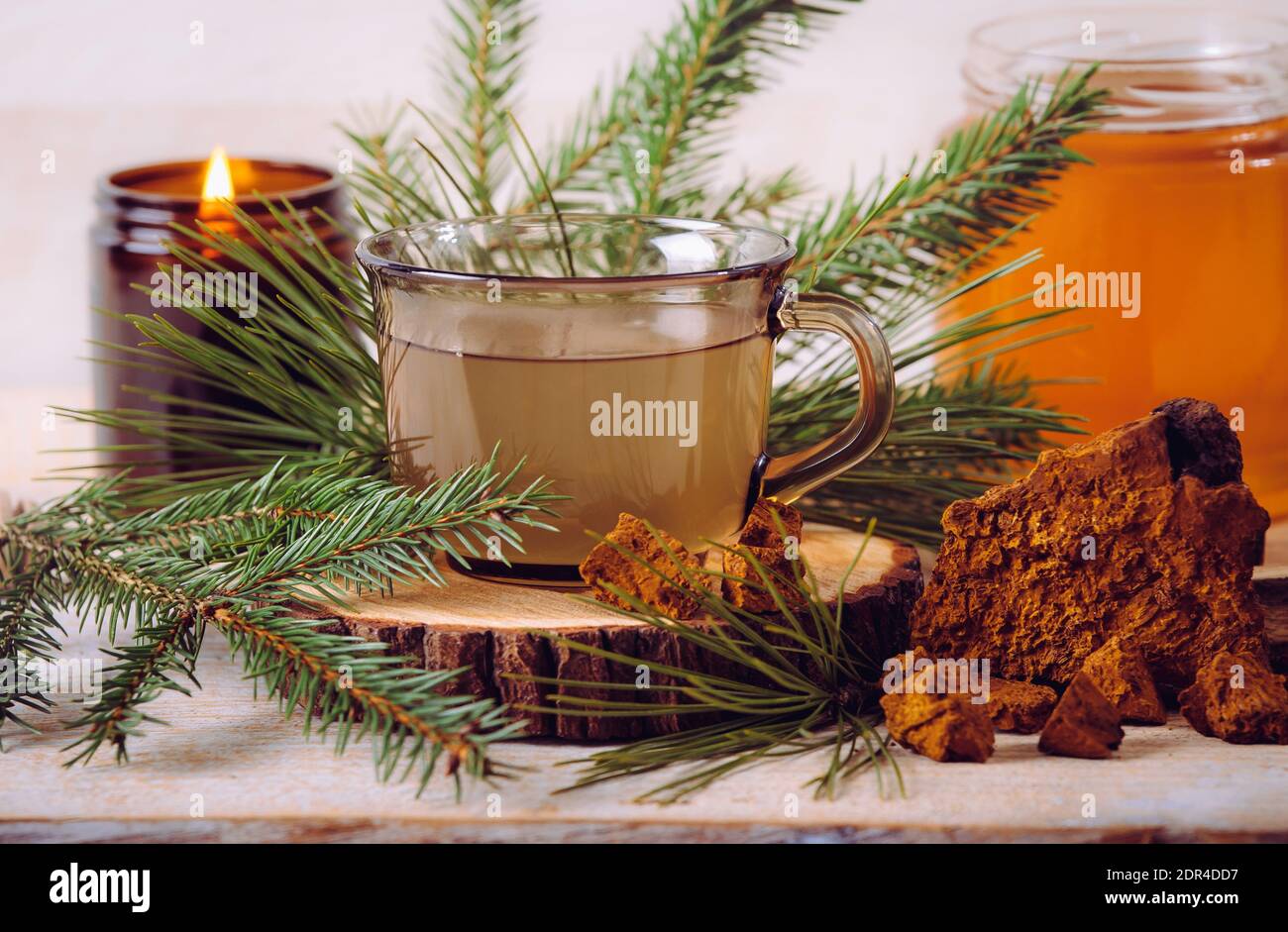 Spruce and pine needle tea with chaga mushroom Inonotus obliquus powder and honey. Tree branches and pieces of Chaga for decoration. Indoors home. Stock Photo