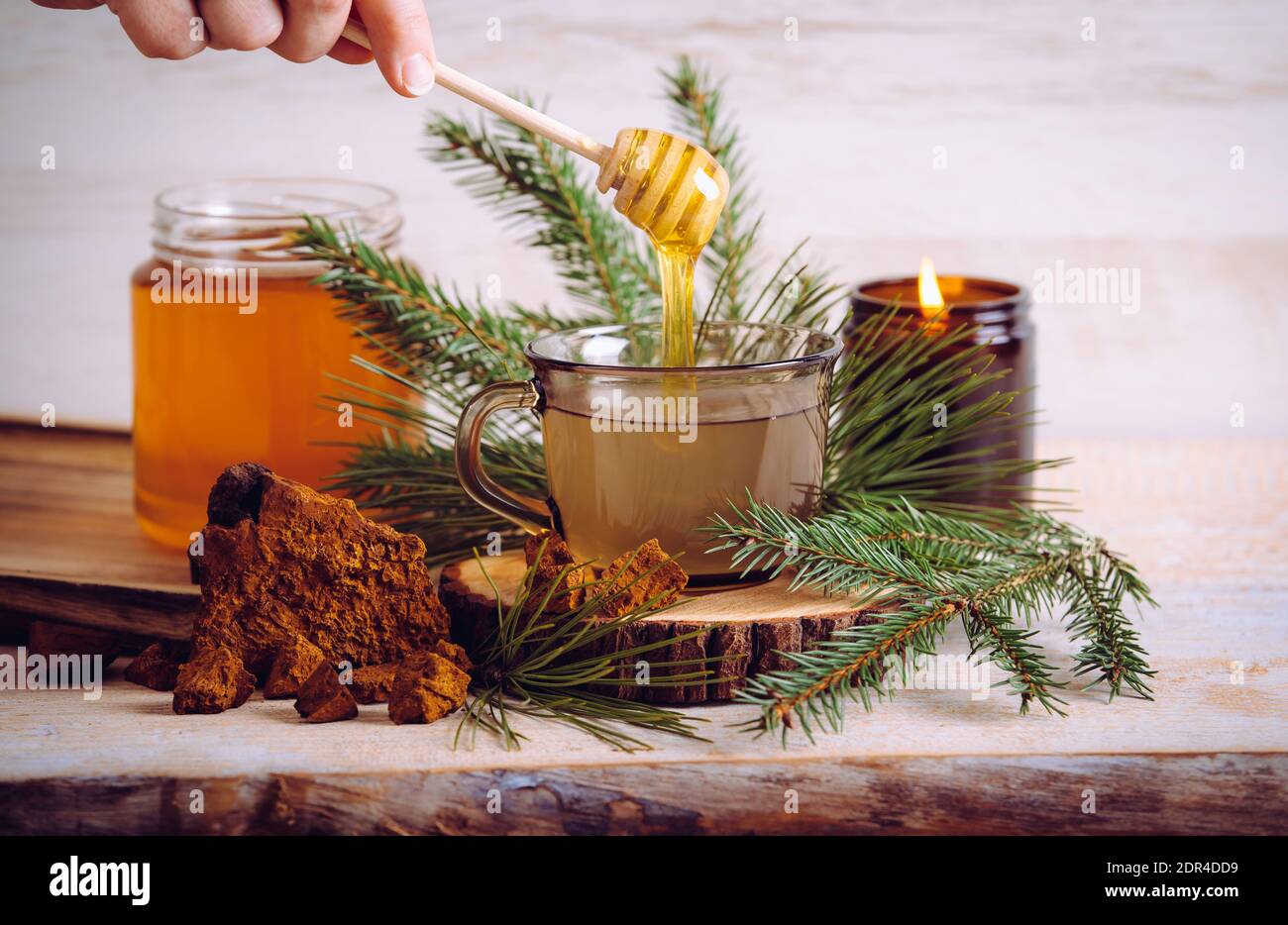 Spruce and pine needle tea with chaga mushroom Inonotus obliquus powder and honey. Tree branches and pieces of Chaga for decoration. Indoors home. Stock Photo