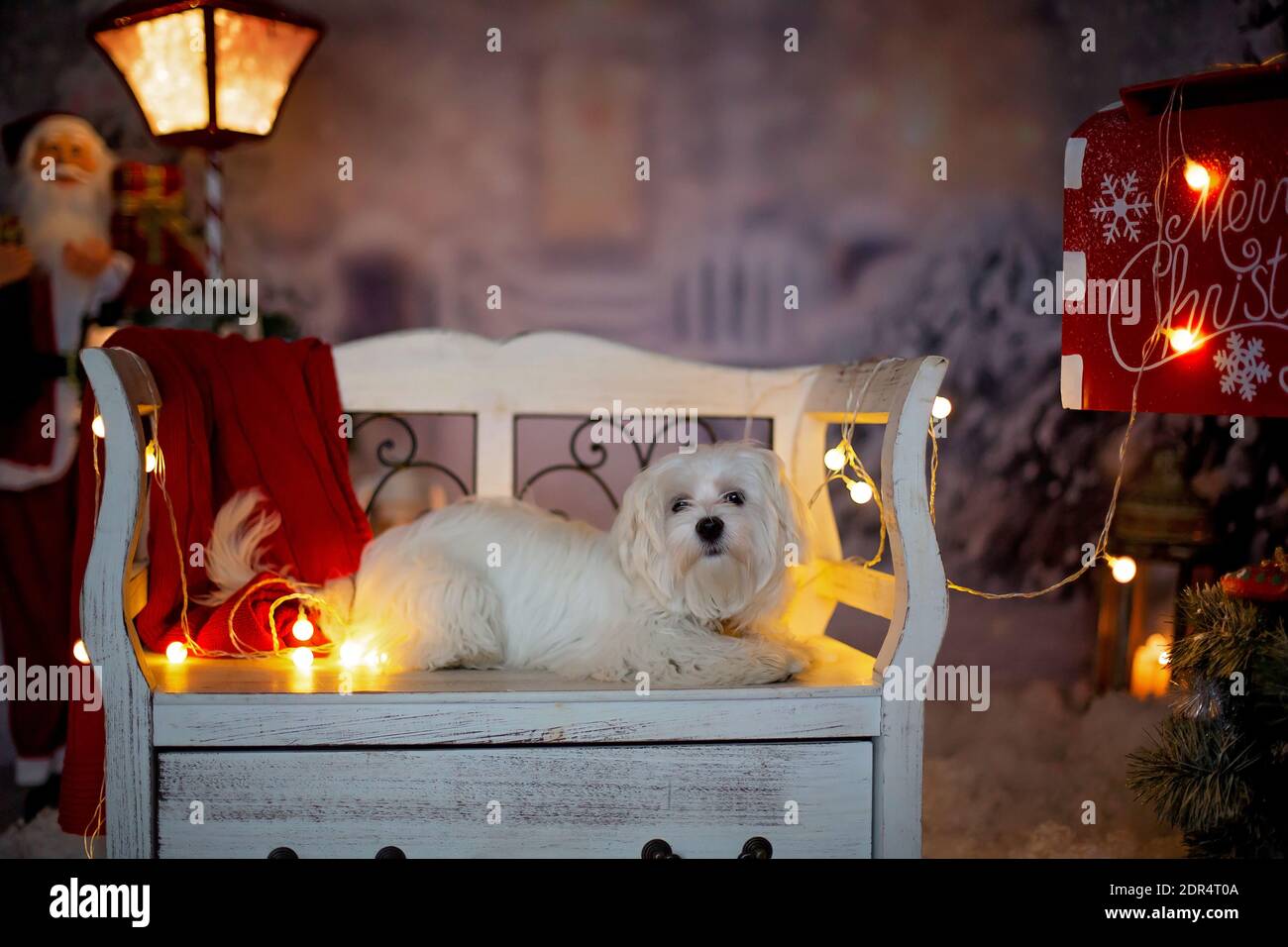 Santa claus sitting on bench hi-res stock photography and images - Alamy