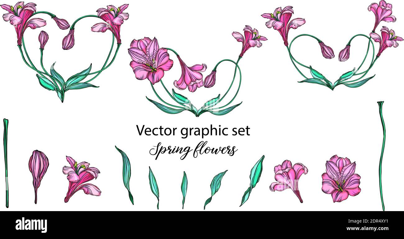 Vector floral arrangements with romantic pink flowers Stock Vector ...