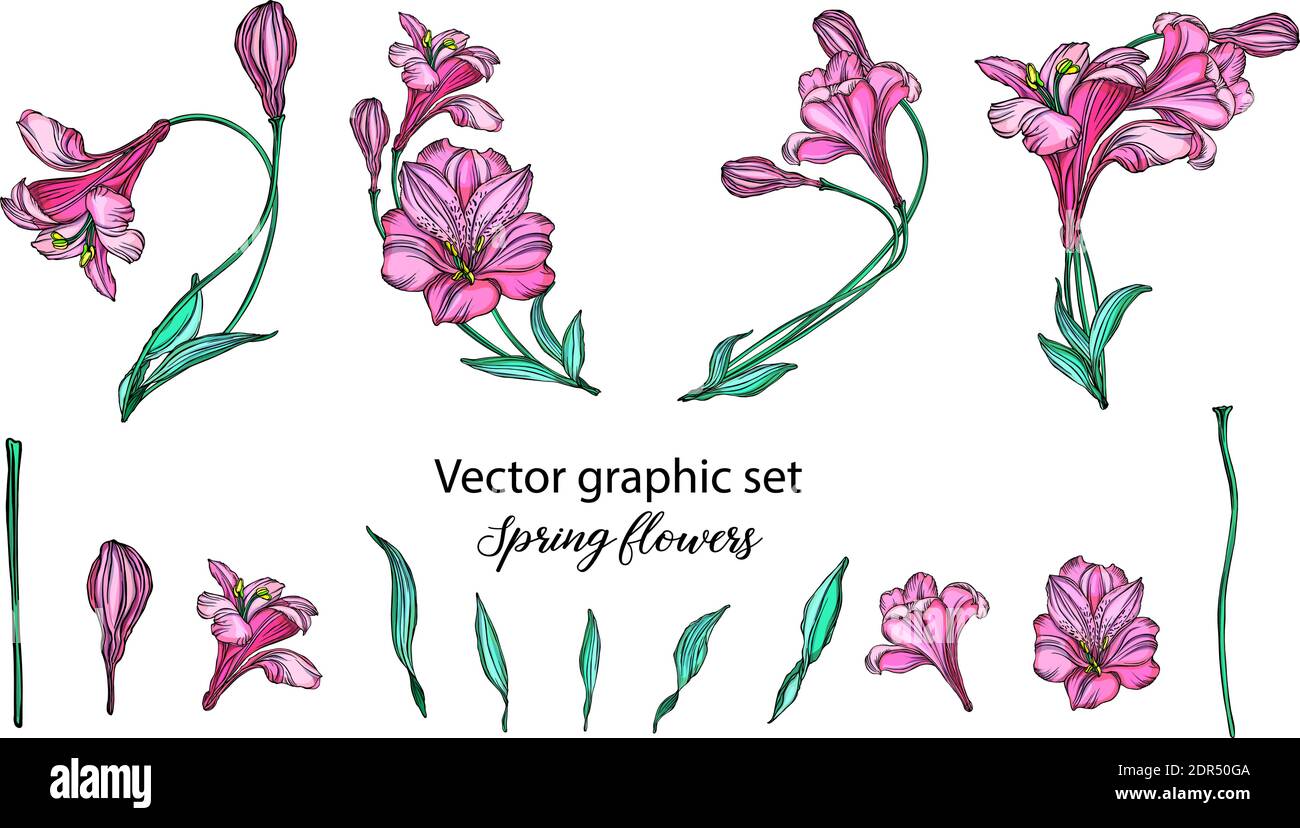 Vector floral arrangements with romantic pink flowers Stock Vector ...