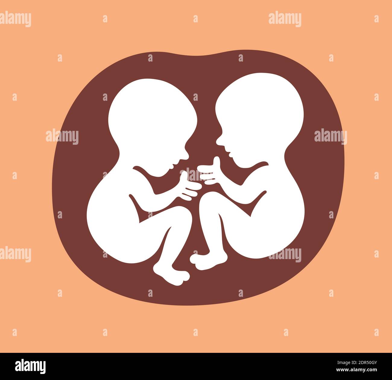 Twins - two unborn babies are in uterus of mother. Prenatal development of fetus and foetus. Vector illustration. Stock Photo