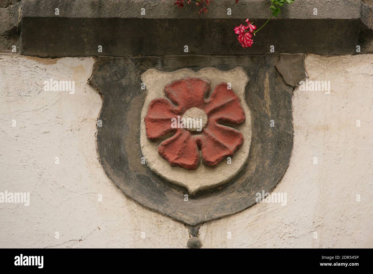 Five petaled rose, symbol of the Rosenberg family on the wall of a ...