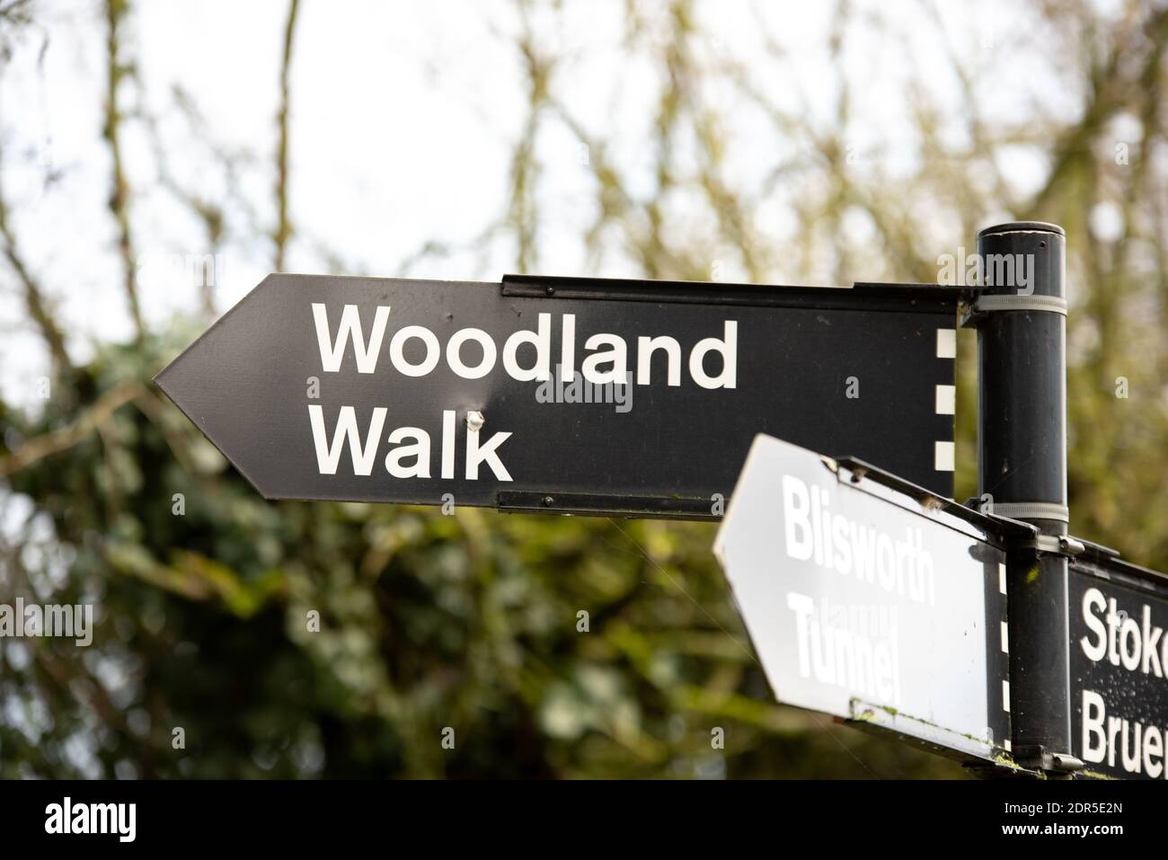 sign post with woodland walk on in countryside Stock Photo