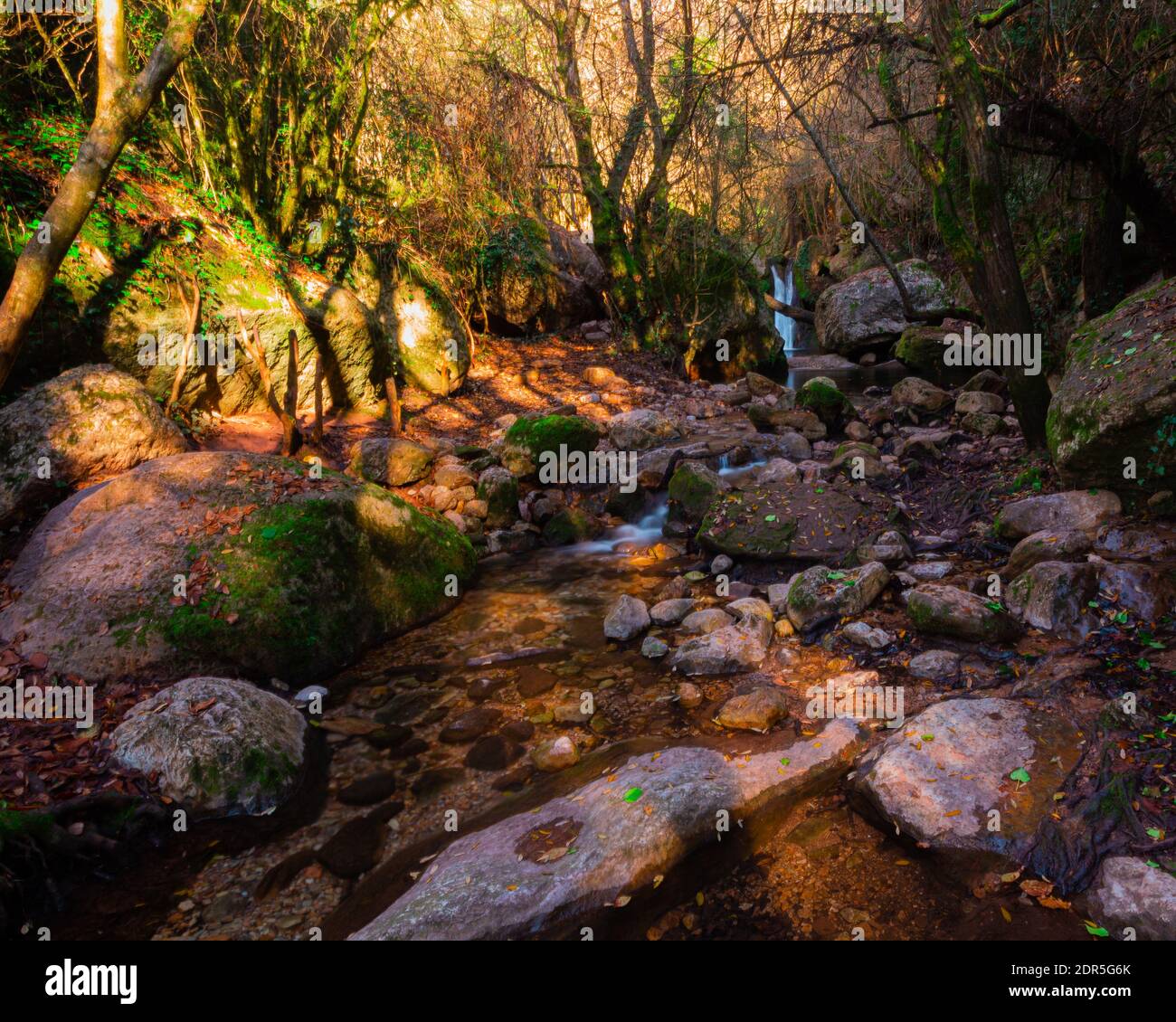 A beautiful shot of a river stream in a forest Stock Photo - Alamy