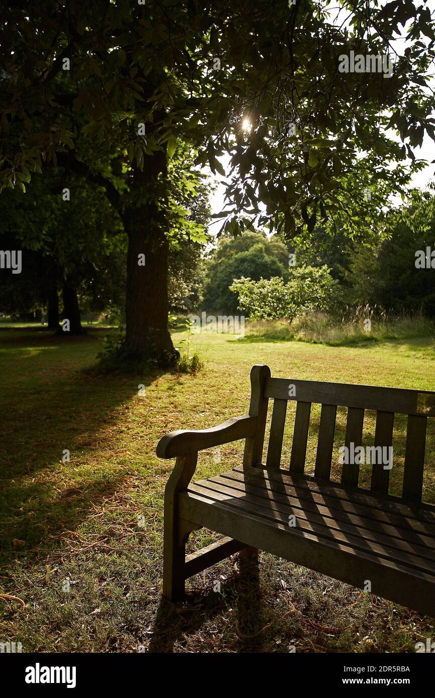 GREAT BRITAIN / England / London / Garden and Bench at Kew Gardens . Stock Photo
