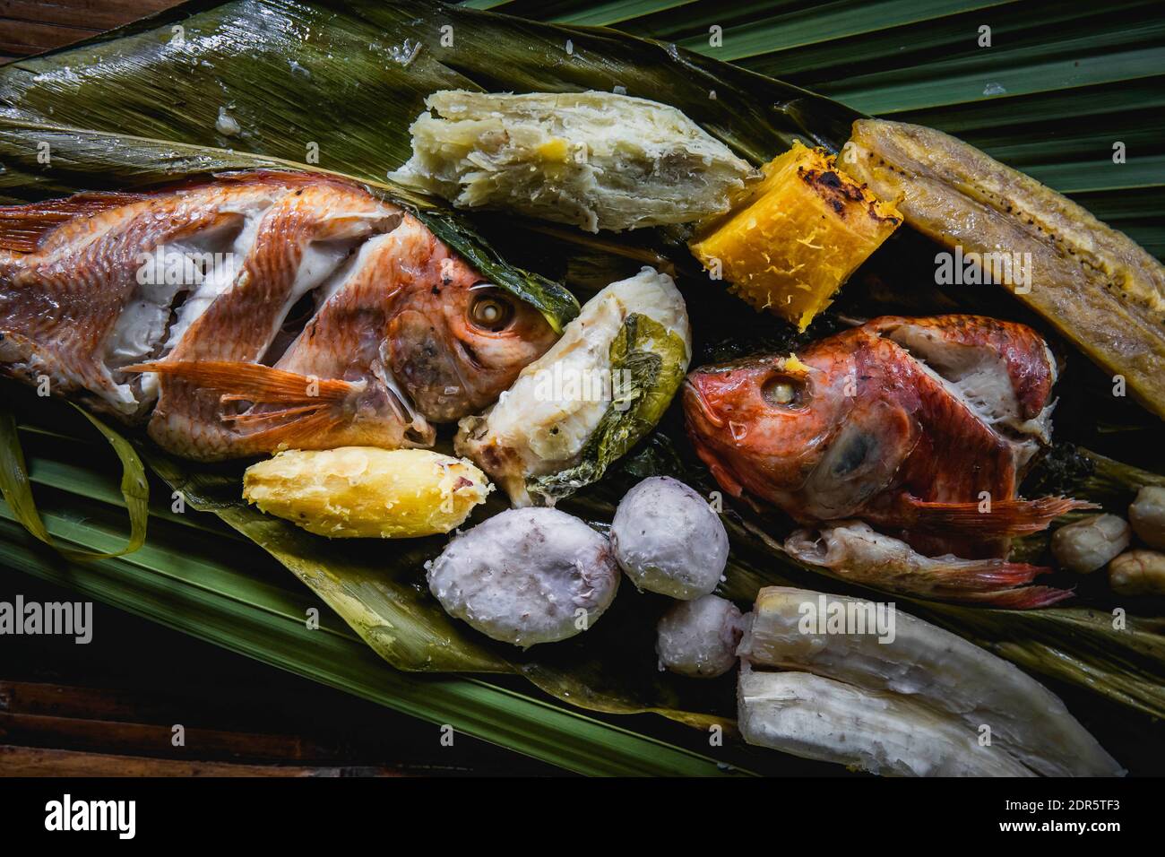 Shuar Territory, Amazon, Ecuador Stock Photo