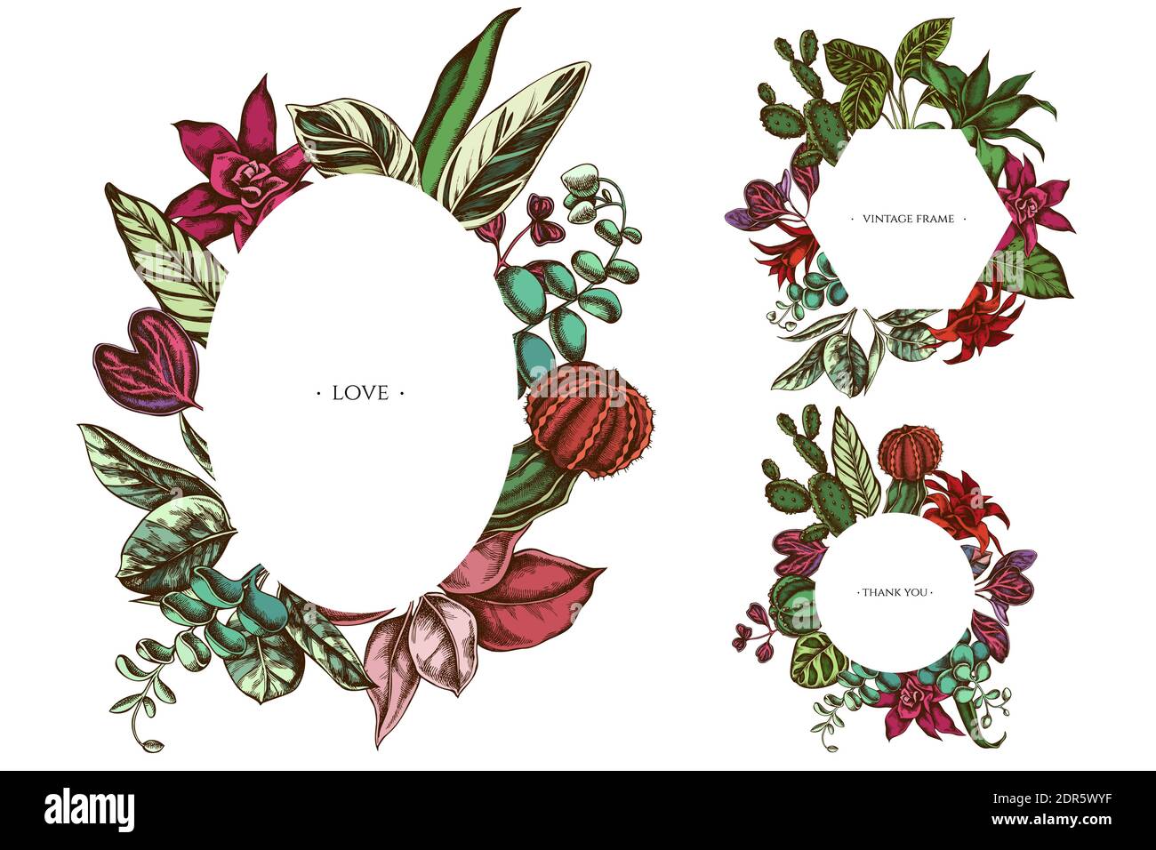 Floral frames with colored ficus, iresine, kalanchoe, calathea, guzmania, cactus Stock Vector