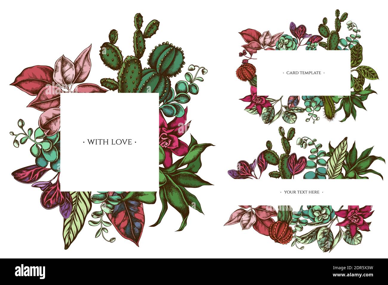 Floral frames with colored ficus, iresine, kalanchoe, calathea, guzmania, cactus Stock Vector