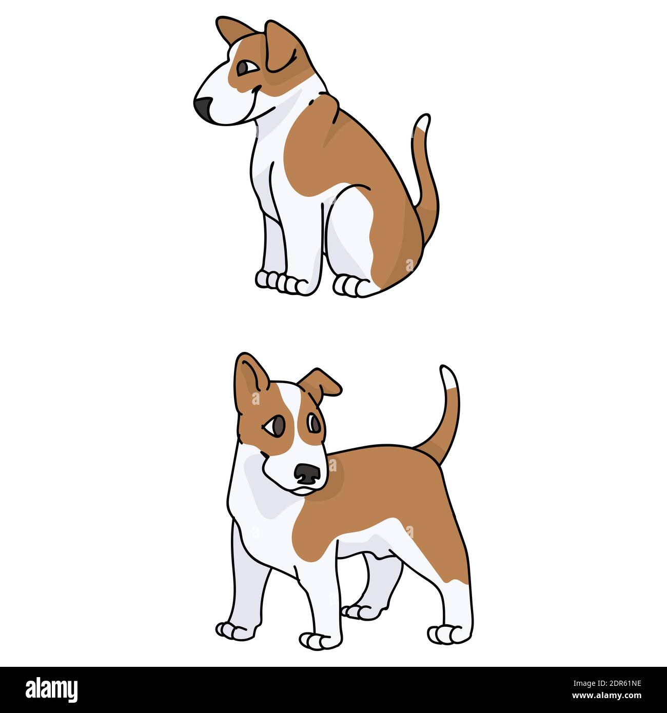 Cute cartoon Bull Terrier puppy vector clipart. Pedigree kennel doggie