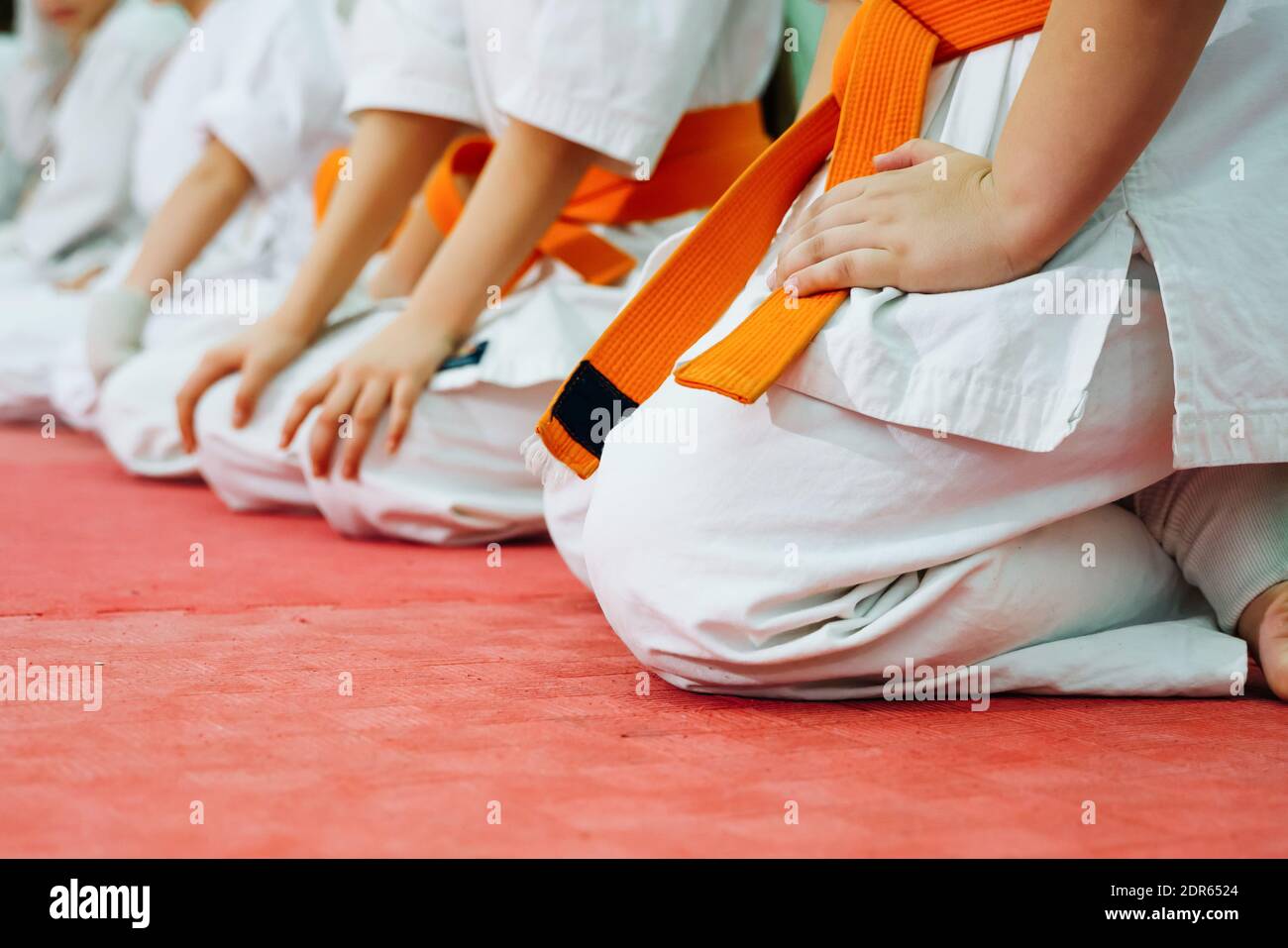 Kids training on karate-do. Banner with space for text. For web pages or advertising printing. Stock Photo