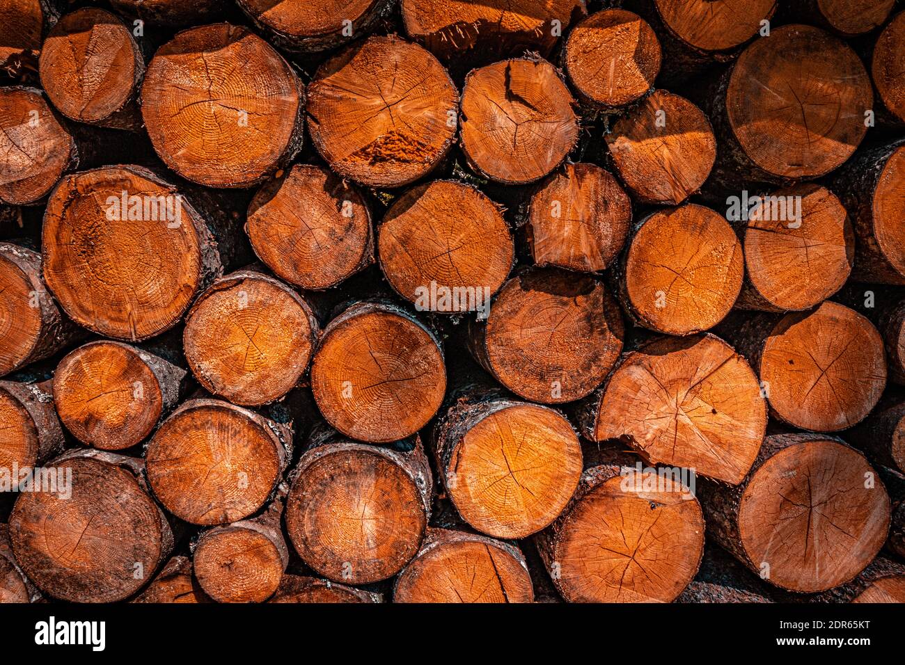 Wood logs in German Alps Stock Photo