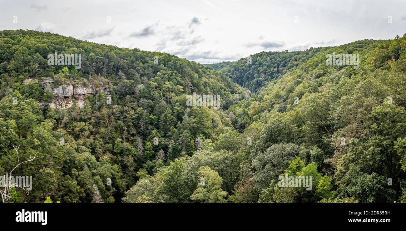 View of Cloudland Canyon State Park south of Lookout Mountain, Georgia near Chattanooga, Tennessee. Stock Photo