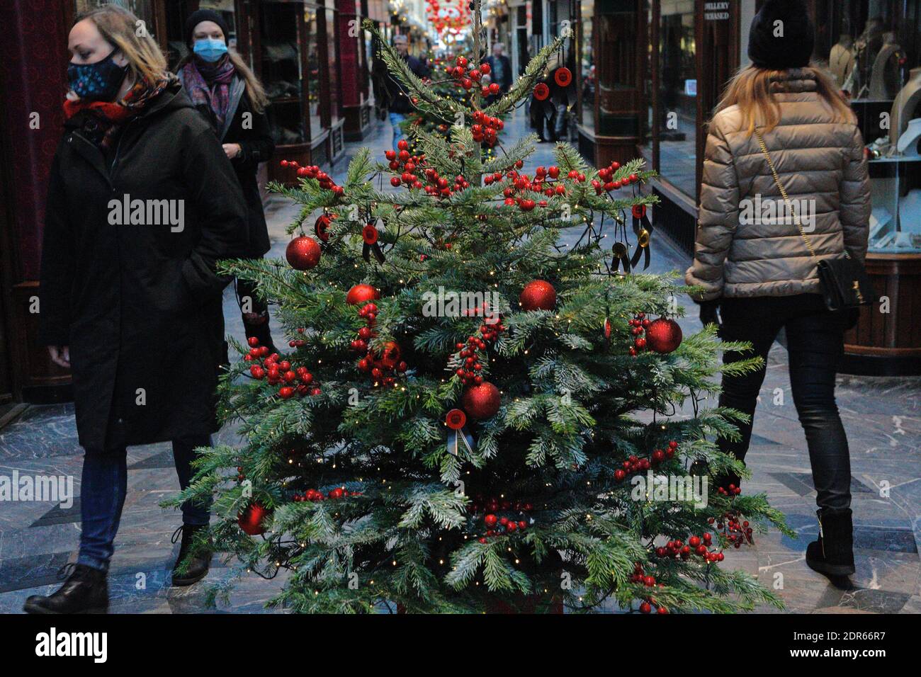 London (UK) Small christmas trees on display at the Burlington arcade