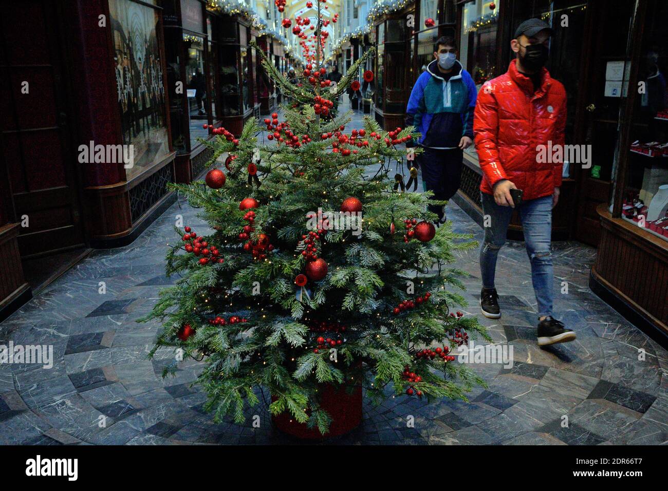 London (UK) Small christmas trees on display at the Burlington arcade