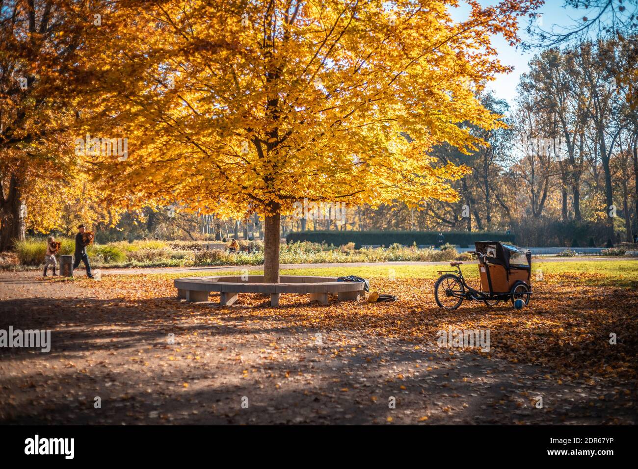Autumn in Berlin Park Stock Photo