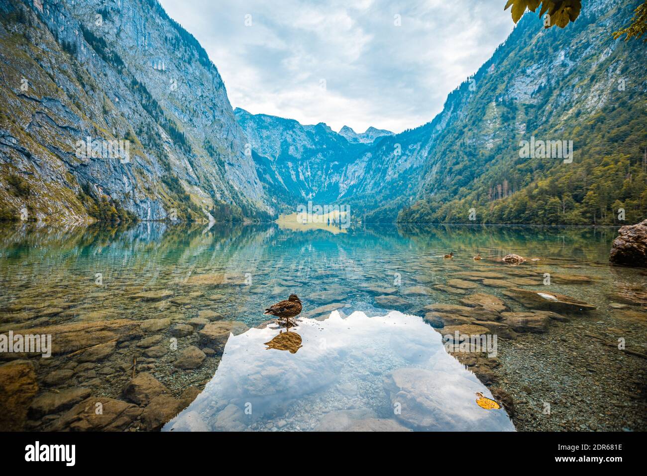 Obersee in German Alps Stock Photo