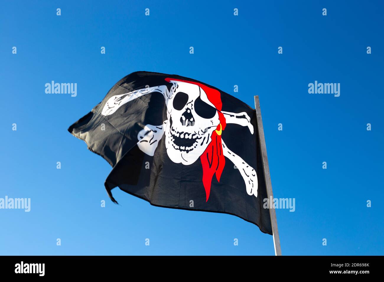 Human skeleton against black background hi-res stock photography and ...