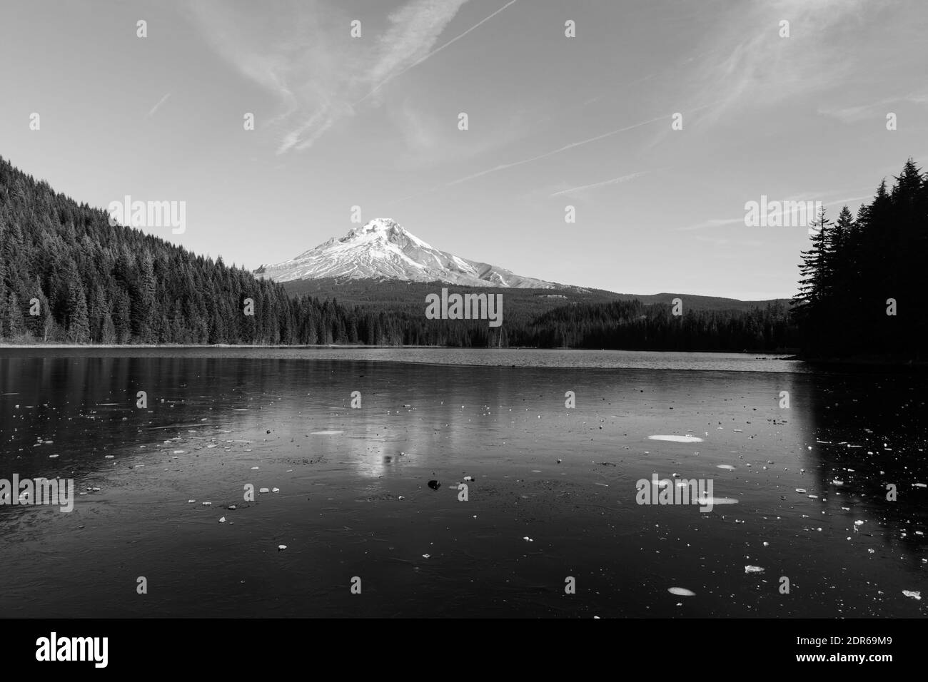 A grayscale shot of Mt Hood National forest Stock Photo Alamy