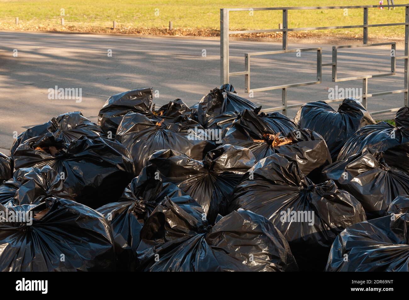 Black bags of garbage. Autumn cleaning. Leaves in the bags. Stock Photo