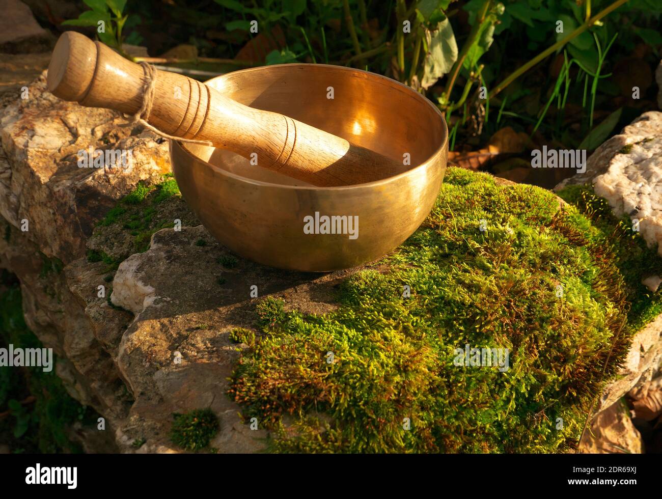 Singing bowl placed on a rock with plant moss Stock Photo