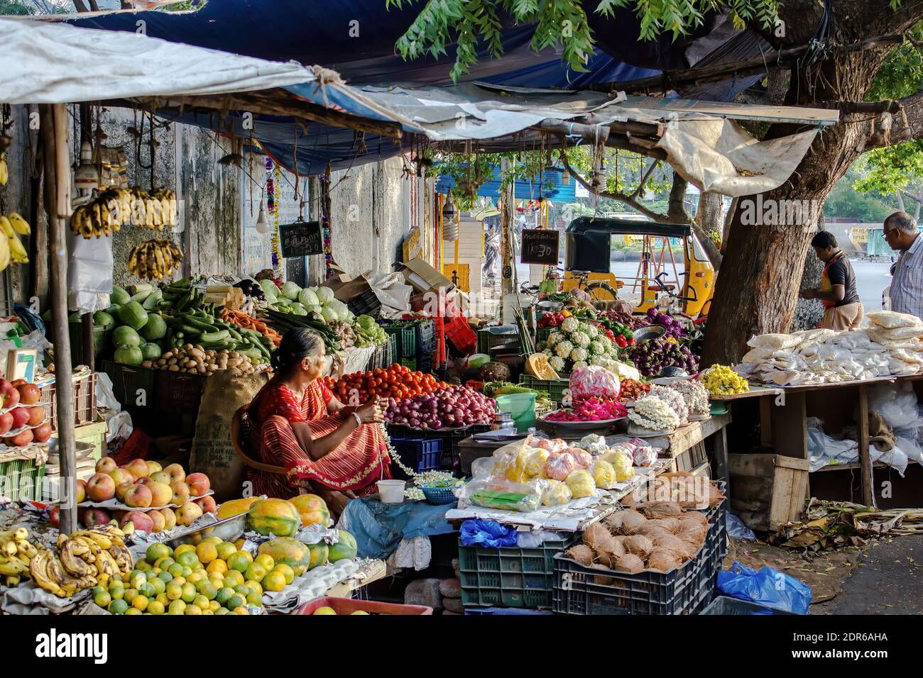 Indian woman in saree chennai hi-res stock photography and images - Alamy