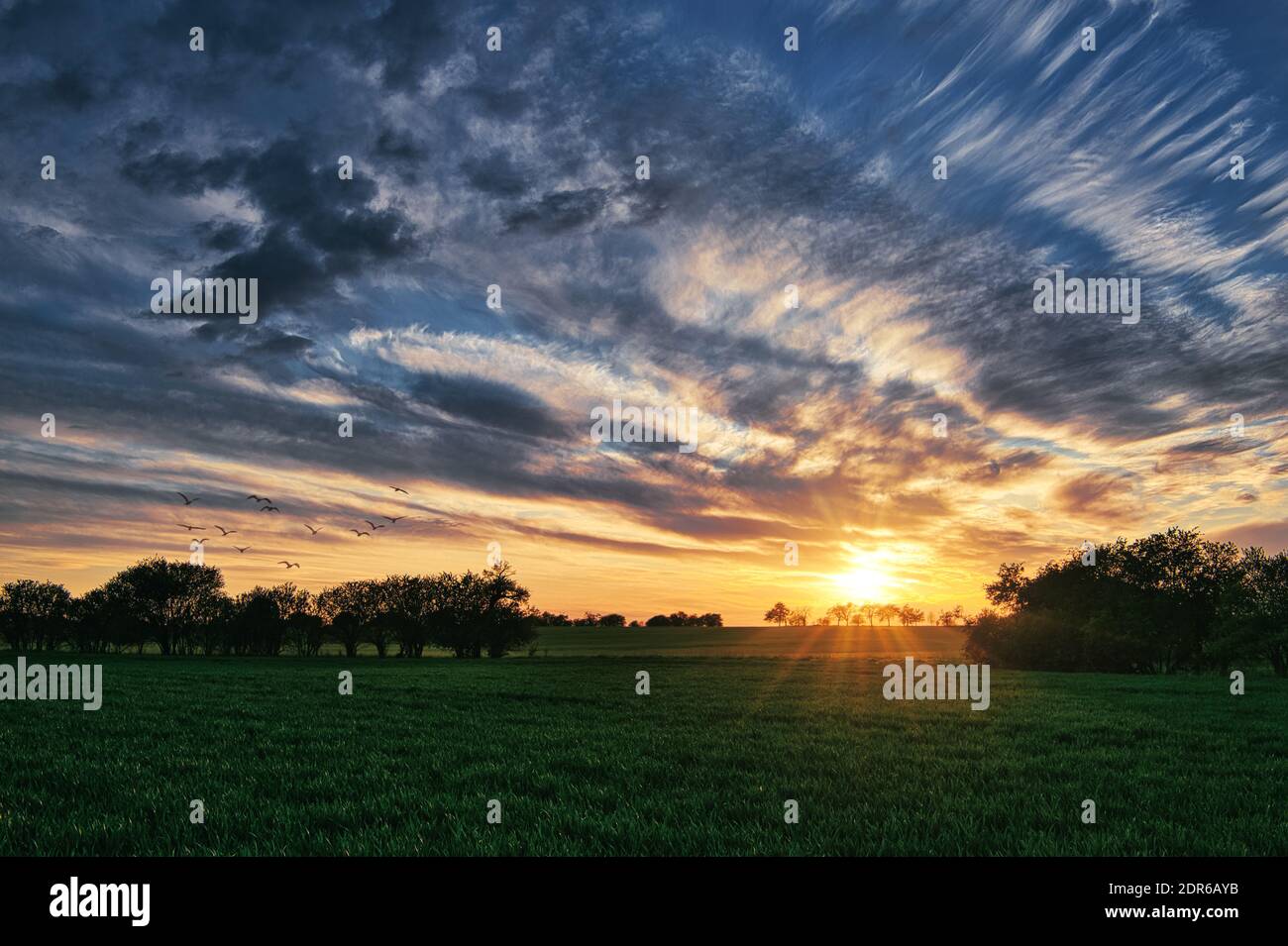 Sunset on a meadow with green grass and silhouettes of trees. The sky is full of colorful clouds. Sunbeams and beautiful spring colors. Stock Photo