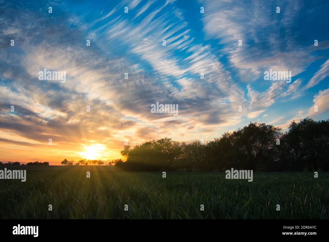Sunset on a meadow with green grass and silhouettes of trees. The sky is full of colorful clouds. Sunbeams and beautiful spring colors. Stock Photo