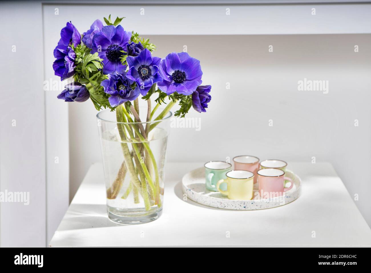 bouquet of the blue anemones in a glass vase on a white table near the pale gray wall. Tray with five small cup for americano. Vertical frame. Copy sp Stock Photo