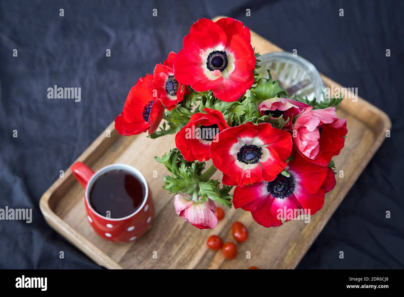A bouquet of red anemones in a glass vase on a wooden tray on the bed. White polka dot cup with tea. Woolen plaid on a gray sheet. Morning Stock Photo