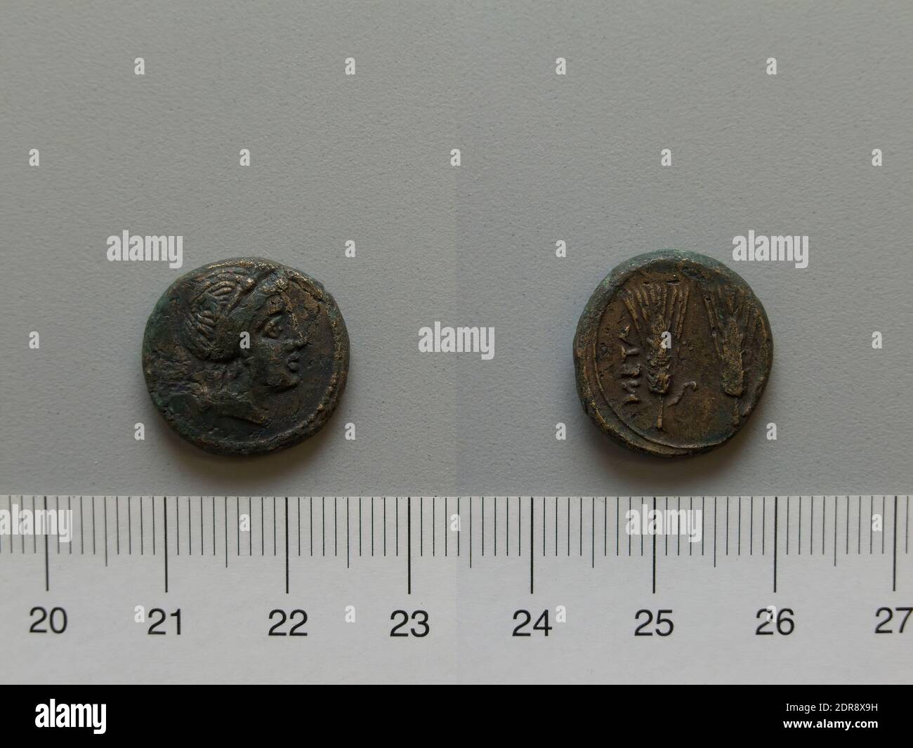 Mint: Metapontum, Fraction from Metapontum, 250–200 B.C., Bronze, 4.52 g, 3:00, 17 mm, Made in Metapontum, Lucania, Greek, 3rd century B.C., Numismatics Stock Photo