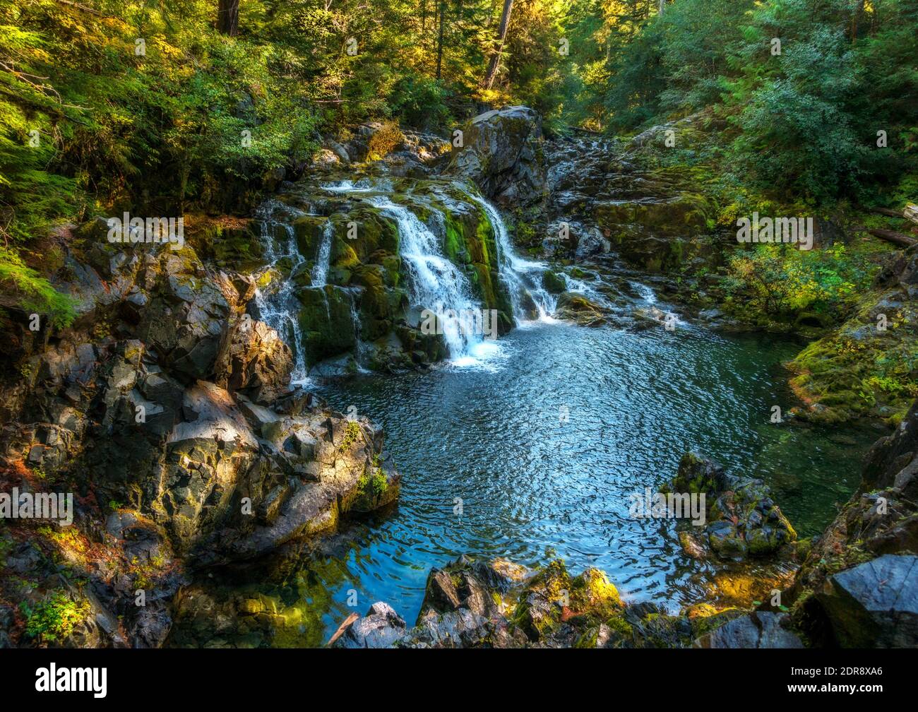 Sawmill Falls and swimming pool along Little Santiam River in Oregon's Opal Creek Scenic Recreation Area. Stock Photo