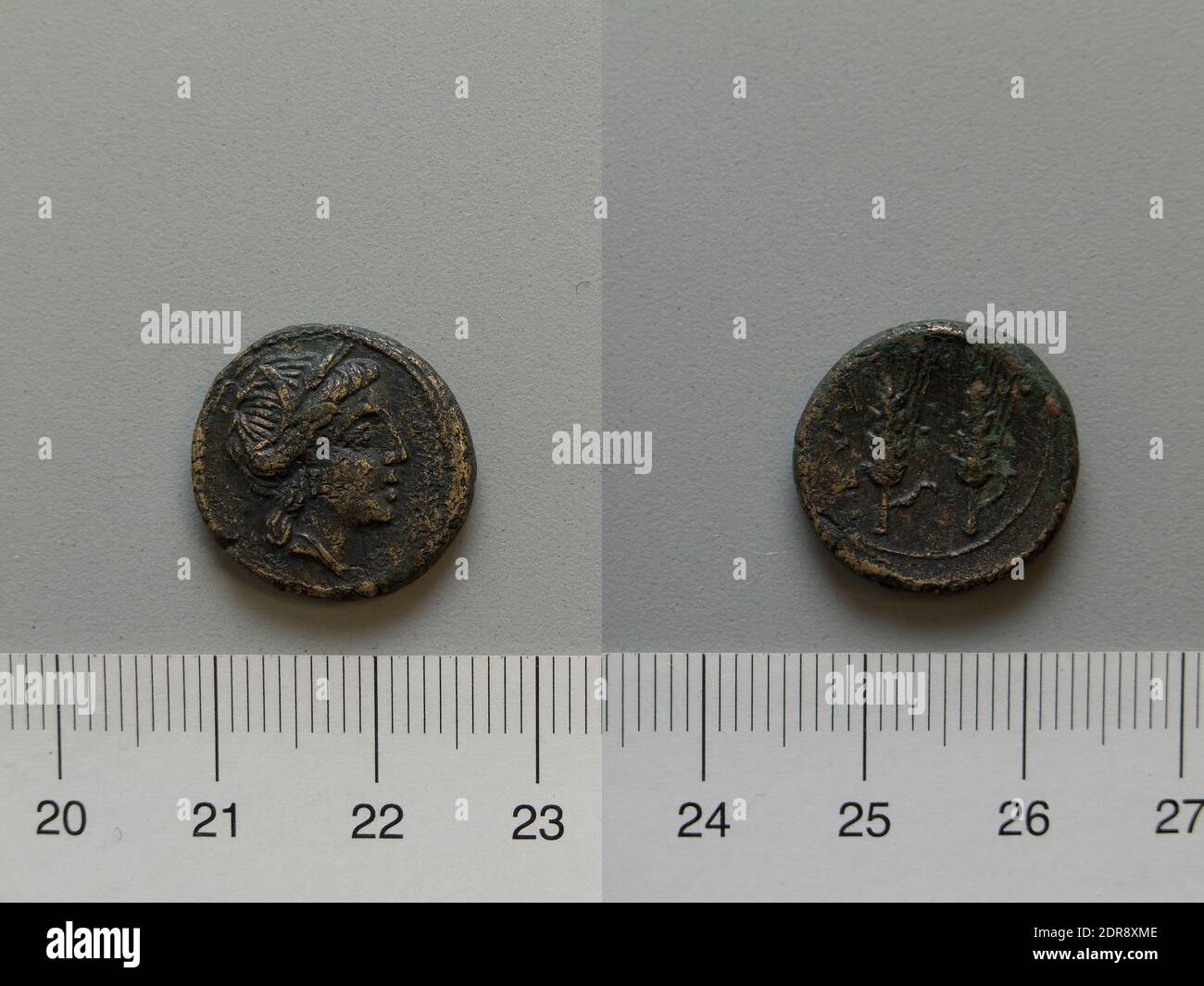 Mint: Metapontum, Fraction from Metapontum, 250–200 B.C., Bronze, 4.44 g, 12:00, 17 mm, Made in Metapontum, Lucania, Greek, 3rd century B.C., Numismatics Stock Photo