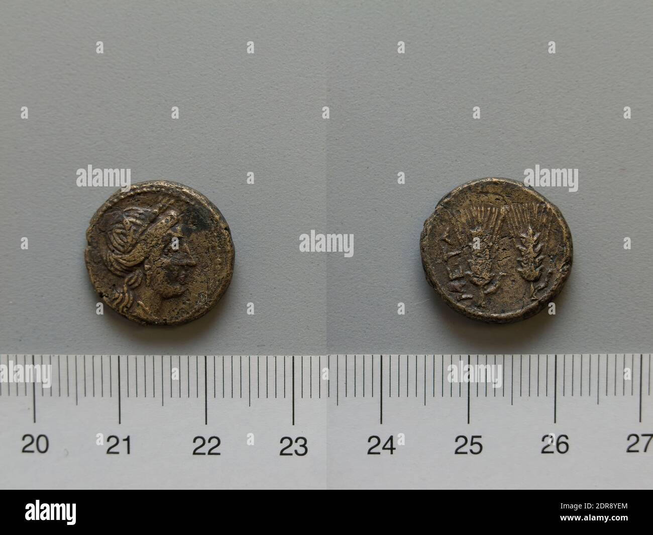 Mint: Metapontum, Fraction from Metapontum, 250–200 B.C., Bronze, 4.43 g, 11:00, 17 mm, Made in Metapontum, Lucania, Greek, 3rd century B.C., Numismatics Stock Photo