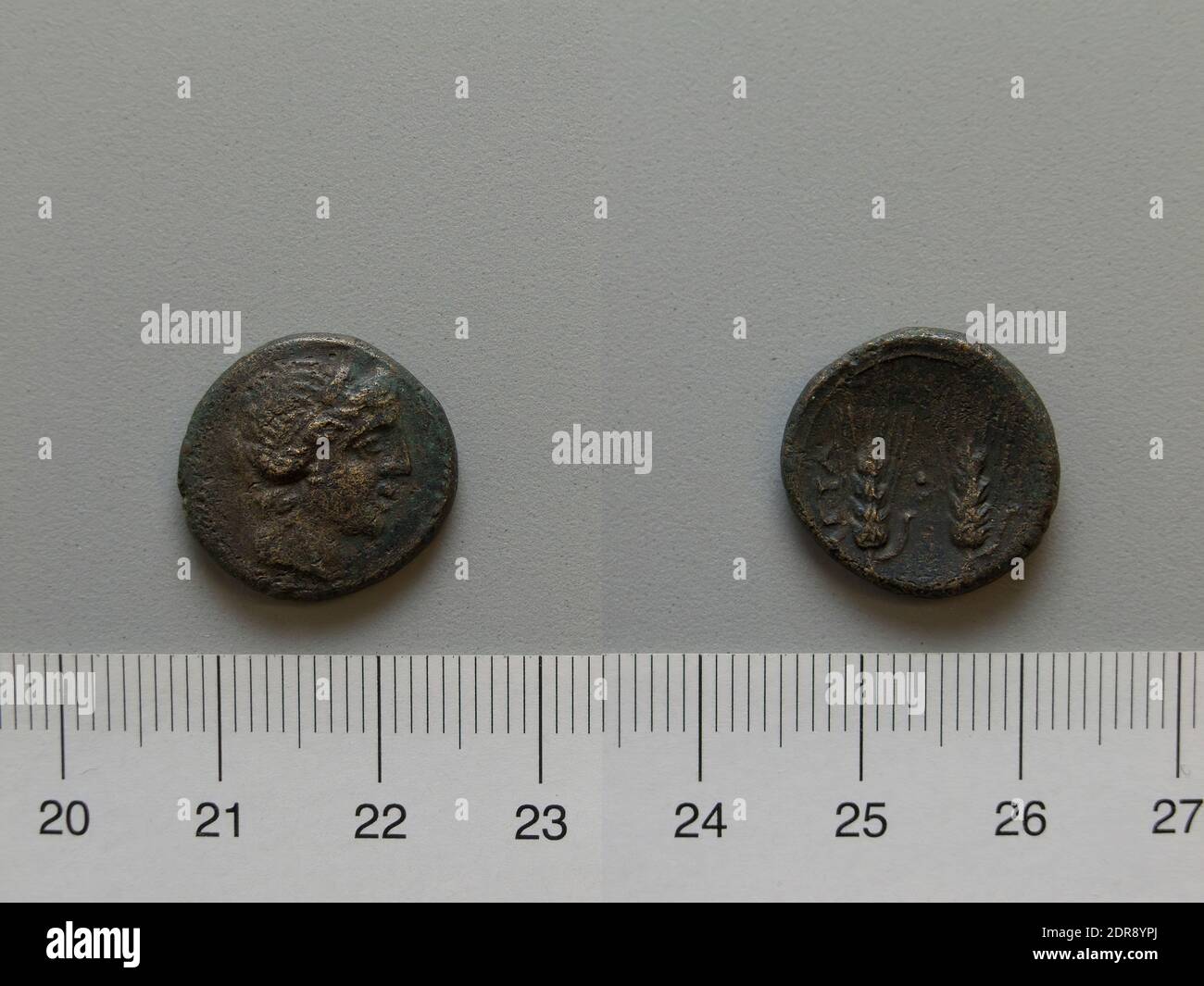 Mint: Metapontum, Fraction from Metapontum, 250–200 B.C., Bronze, 3.94 g, 6:00, 17 mm, Made in Metapontum, Lucania, Greek, 3rd century B.C., Numismatics Stock Photo