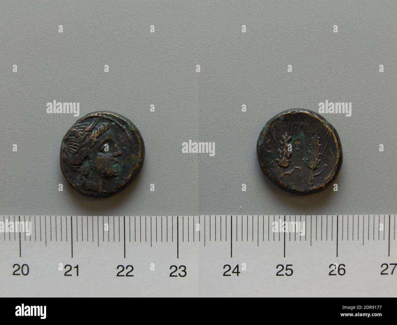 Mint: Metapontum, Fraction from Metapontum, 250–200 B.C., Bronze, 4.93 g, 12:00, 17.5 mm, Made in Metapontum, Lucania, Greek, 3rd century B.C., Numismatics Stock Photo